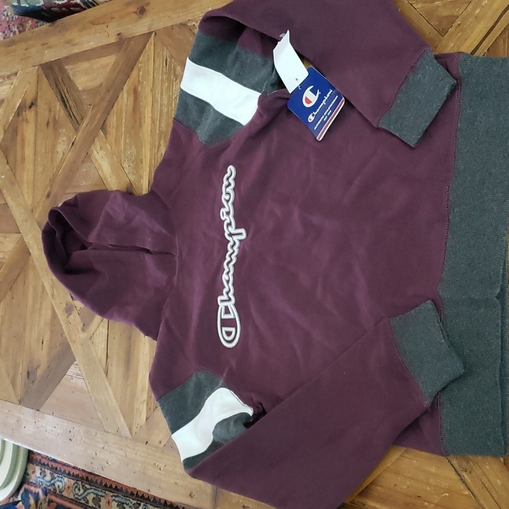 CHAMPION Authentic Athleticwear Hoodie